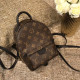 29위 LOUIS VUITTON 루이비통 팜스프링 미니 백팩 M44873